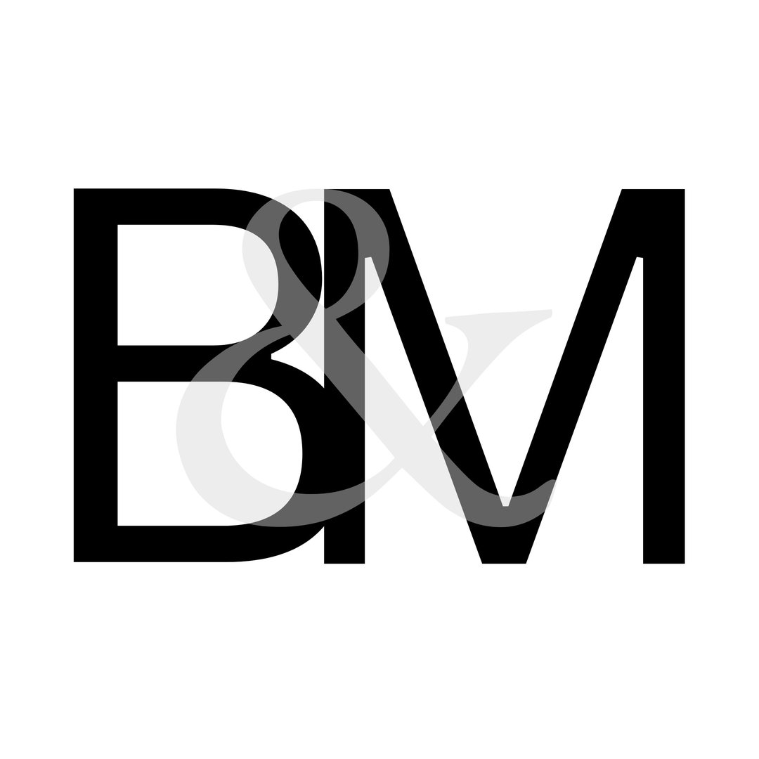 Logo do B&M (substituir)
